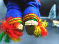 laplander ginny sz feet